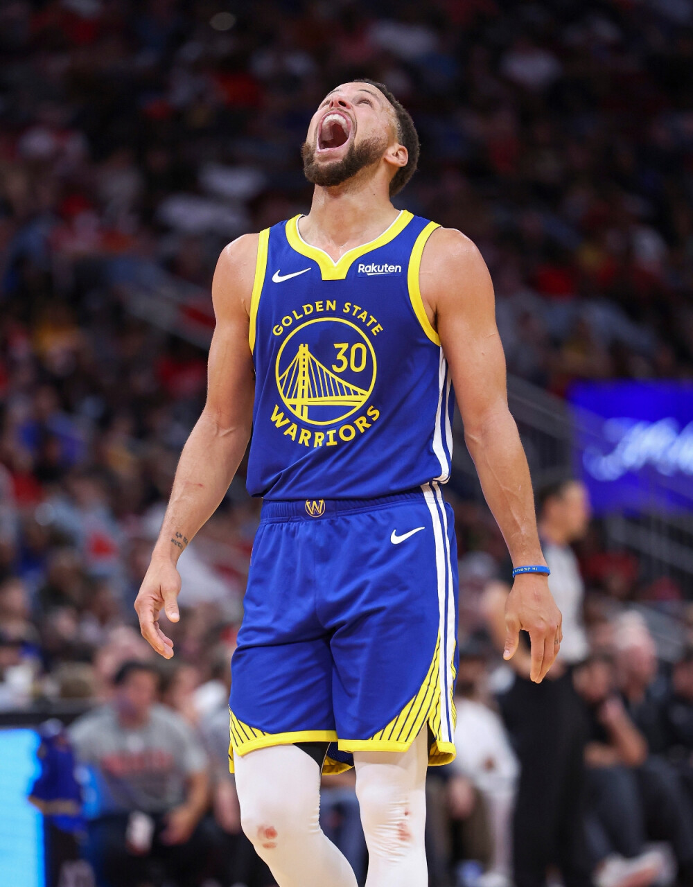 布鲁诺明白 布鲁诺明白